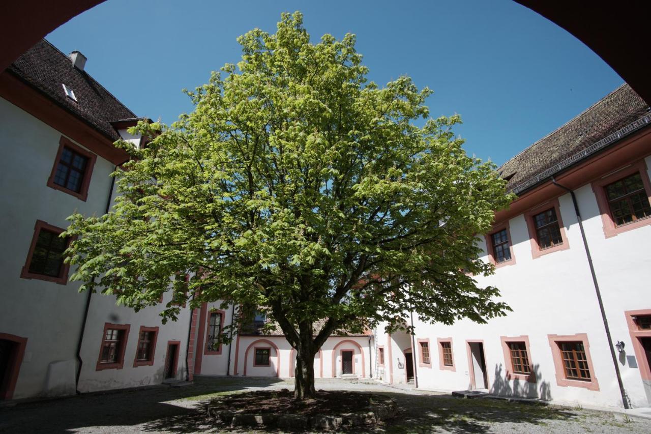 Hotel & Tagungszentrum Schloss Hohenfels Hohenfels  外观 照片