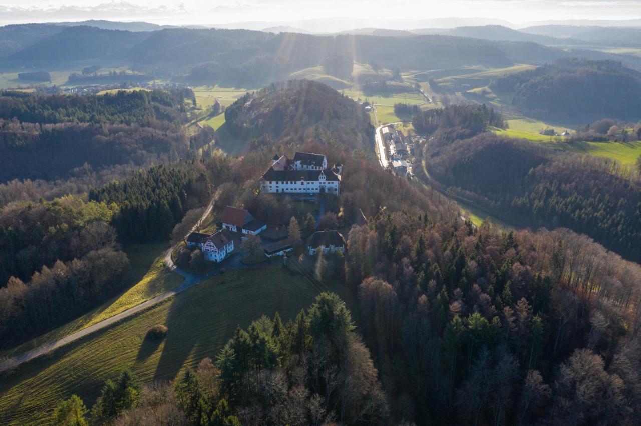 Hotel & Tagungszentrum Schloss Hohenfels Hohenfels  外观 照片