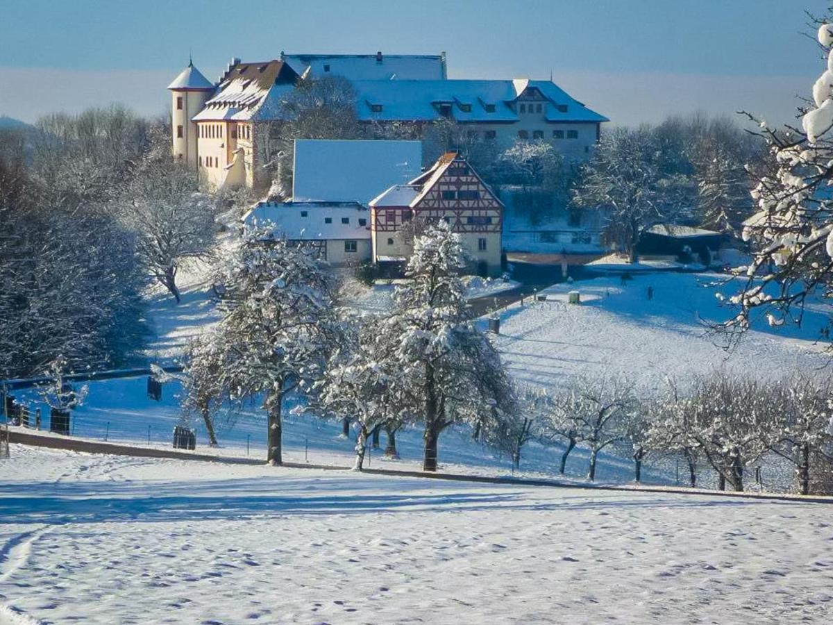 Hotel & Tagungszentrum Schloss Hohenfels Hohenfels  外观 照片