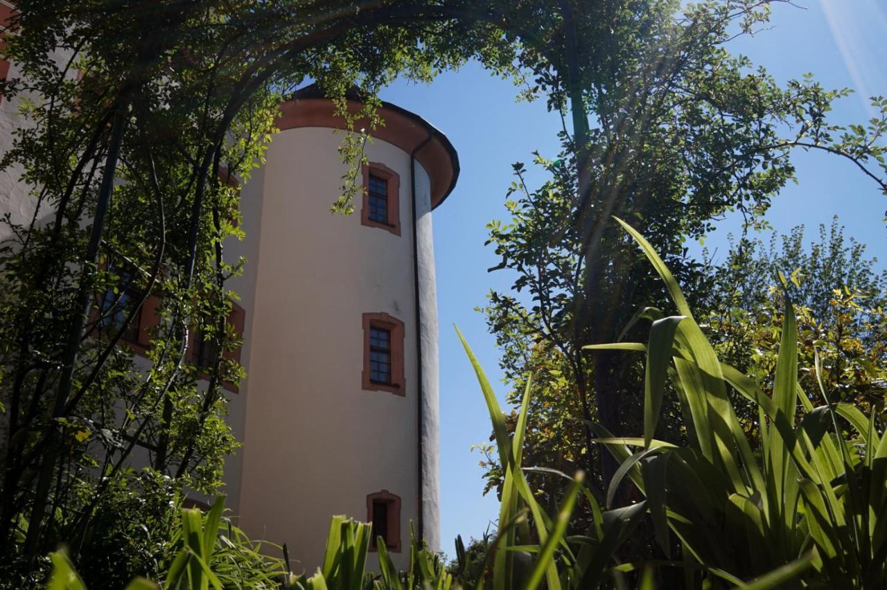 Hotel & Tagungszentrum Schloss Hohenfels Hohenfels  外观 照片