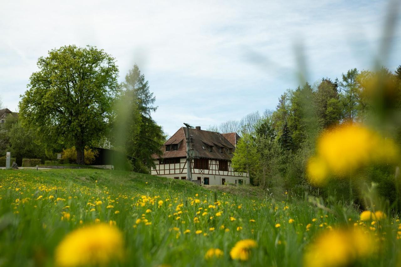 Hotel & Tagungszentrum Schloss Hohenfels Hohenfels  外观 照片